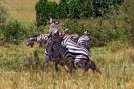 Nazwa pliku=09570.jpg
Wielkość pliku=234KiB
Rozmiar=900x600
Data dodania= 17, Październik 2005 09570.jpg